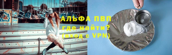 твердый Гусев