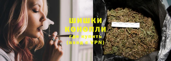 стаф Горнозаводск