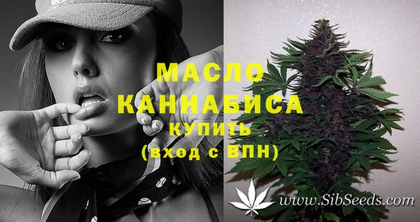 твердый Гусев