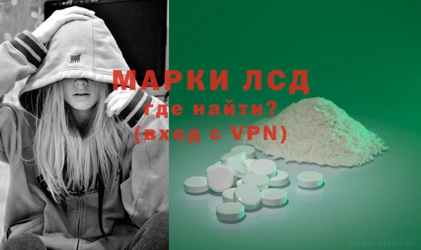 сатива Горняк