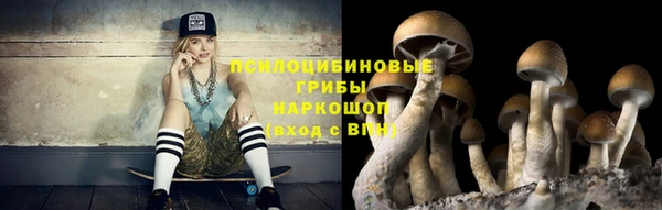 прущий лед Гусиноозёрск