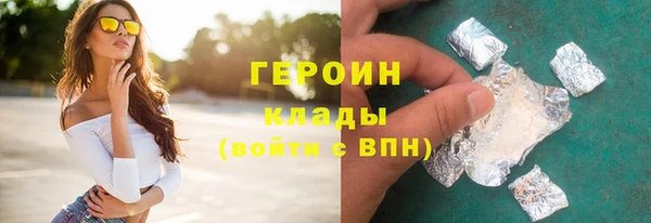 твердый Гусев