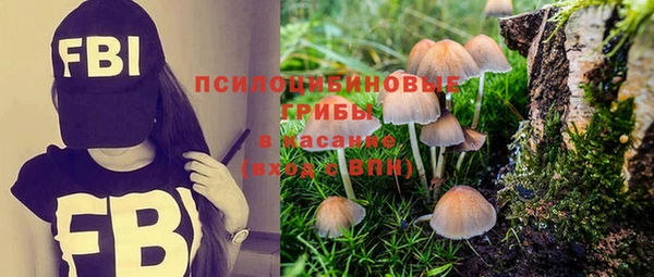 твердый Гусев