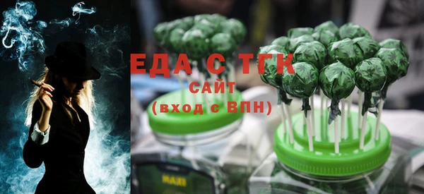твердый Гусев