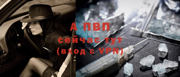стаф Горнозаводск