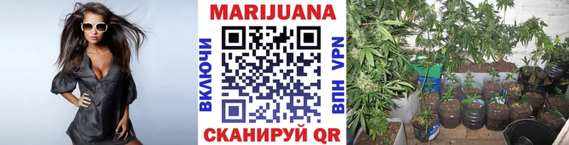 Бошки Шишки VHQ  ссылка на мегу ссылки  Волгодонск  закладки 